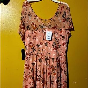 It’s had a see through top it’s has a so cute flowers on them the back is out.